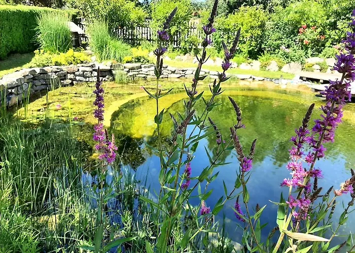 Honigduft Und Bienenluft Апартаменты