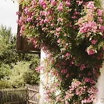 Honigduft Und Bienenluft * Sankt Oswald bei Freistadt