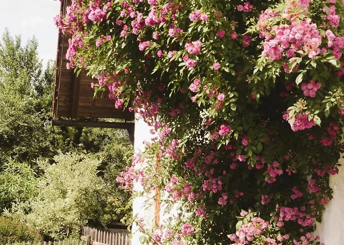 Honigduft Und Bienenluft * Sankt Oswald bei Freistadt