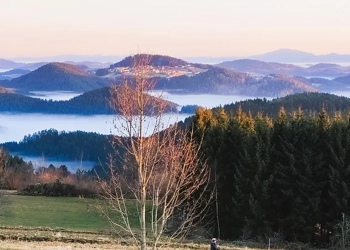 Honigduft Und Bienenluft *